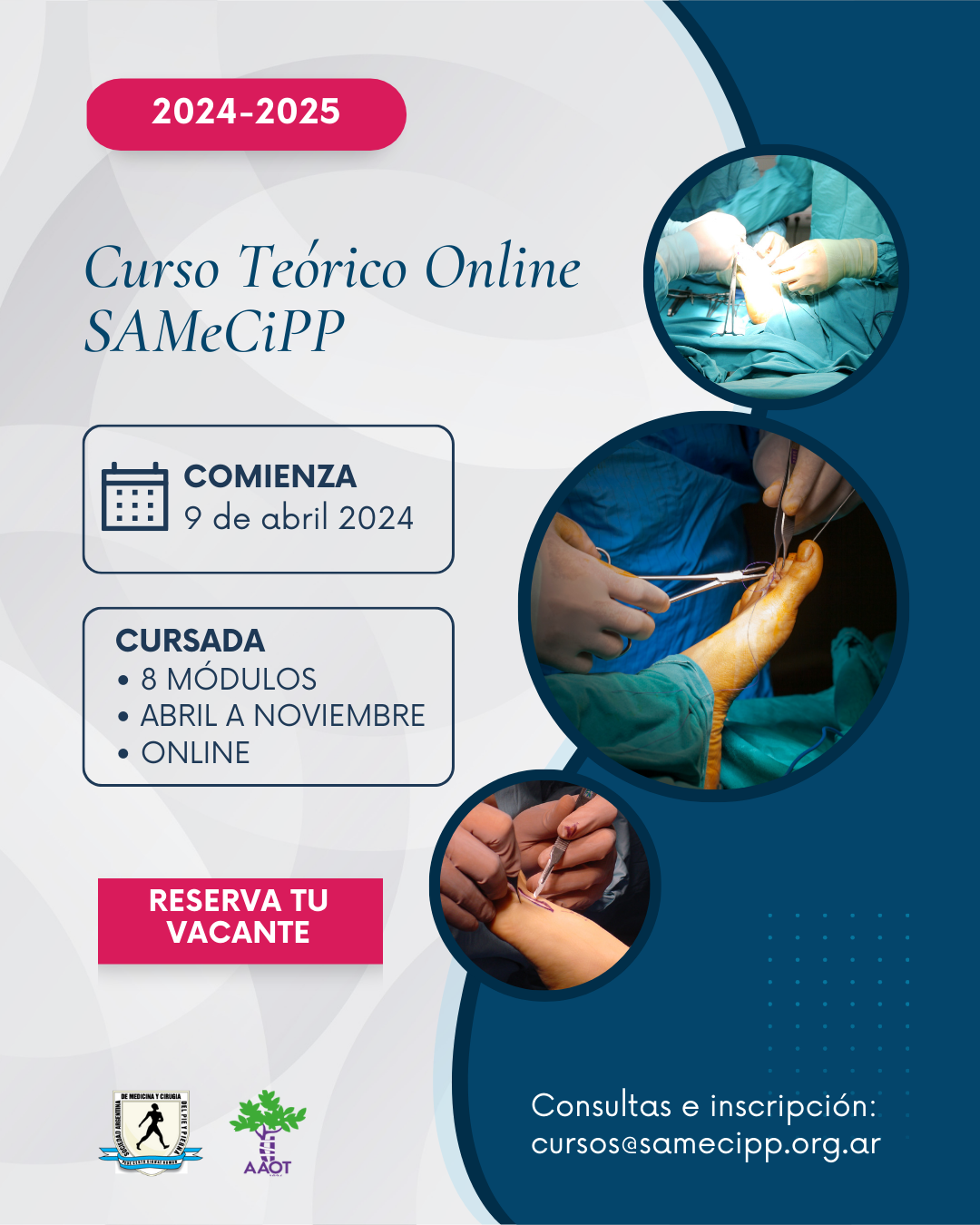 Curso Teorico Online SAMeCiPP